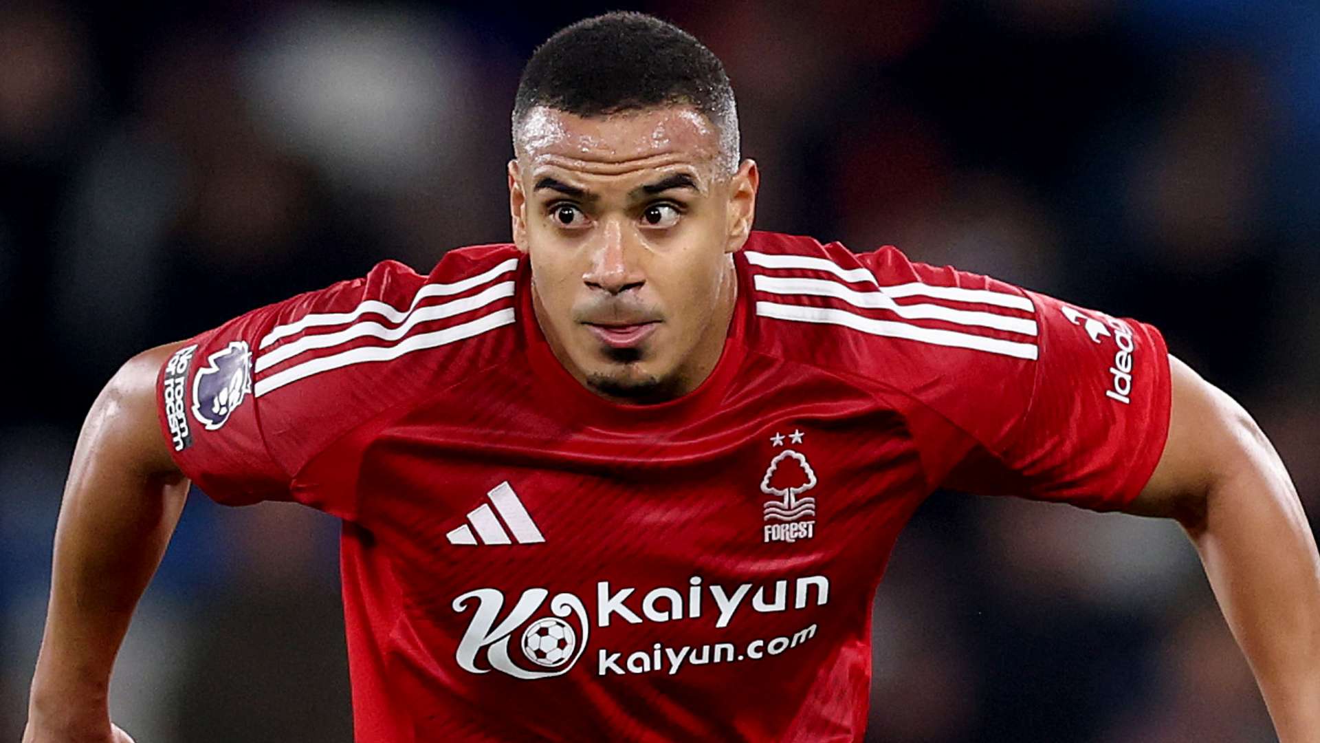 全能中的重 全能中的重